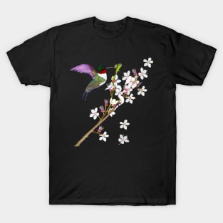 Bird Humming bird extracting nectar from the First cherry blossoms of spring. Japanese Sakura T-Shirt